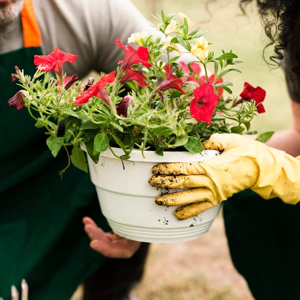 Garten- und Landschaftsbau